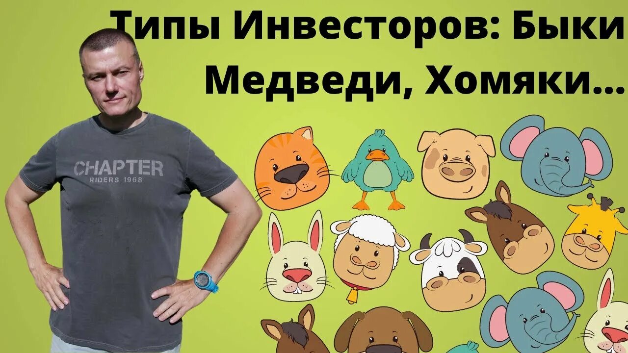 Медведи хомячки. Быки медведи хомяки. Типы инвесторов медведи. Бык инвестора. Хомяк и бык.