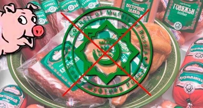 Продукция халяль. Сыр тильзитер. Адыгейский сыр косичка. Сыр люкс. Творожный сыр халяль.