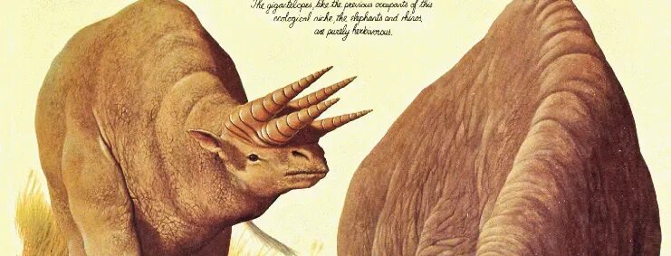 что появилось у млекопитающих. веки млекопитающих. веки млекопитающих. суминия рисунок. глаза коровы.