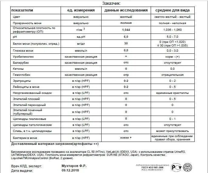 Белок в моче в 38 недель. Норма белка в моче в 3 триместре беременности. белок в моче у беременных норма 1 триместр. норма белка в моче при беременности в 3 триместре. белок в моче при беременности 3 триместр 0.2.