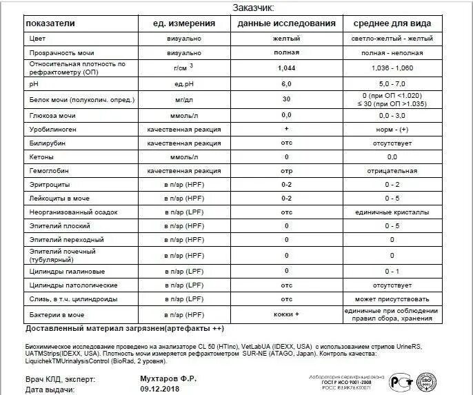 Кетоновый белок в моче. Норма белка в моче в 3 триместре беременности. Белок в моче у беременных норма 1 триместр. Норма белка в моче при беременности в 3 триместре. Белок в моче при беременности 3 триместр 0.2.