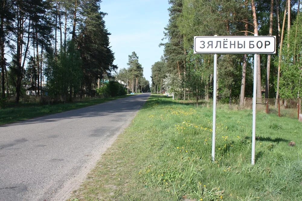 Зеленый Бор Калининградская область. Зеленый Бор Подмосковье. Зеленый Бор Черняховск. Школа в зелёный Бор. П зеленый бор