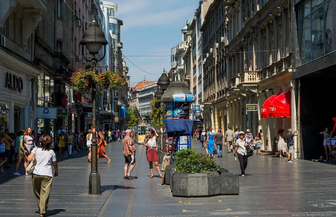 Сербия белград панорама. Аренда в белграде. Дунай сербия белград. Сербия белград. Белград прогулка.