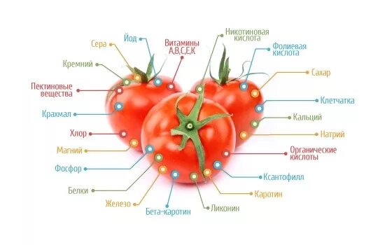 Томаты витамины и микроэлементы. Чем полезен помидор витамины. Чем полезны помидоры схема. Витамины содержащиеся в помидорах. Что полезного в помидорах