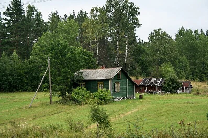 Деревни ленинградской области. Деревня ручьи Ленинградская область. Деревня ручьи Ояярви. Деревня "деревня" в Ленинградской области. Малонаселенные деревни Ленинградской области.