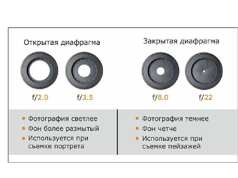 Диафрагма 131. Диафрагма 131