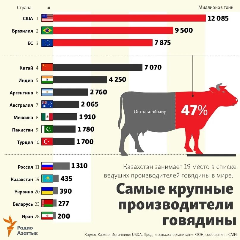 Крупнейшие производители говядины в мире. Страны по производству говядины. Лидеры по производству мяса. Лидеры производства мяса в мире.