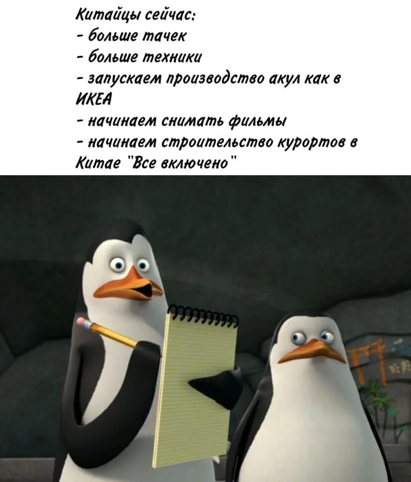 Какой овощ не любил ковальский из мадагаскара. Пингвины из Мадагаскара Ковальский. Пингвины Мадагаскара Ковальски записывает. Ковальски из Мадагаскара. Мадагаскар Ковальский.