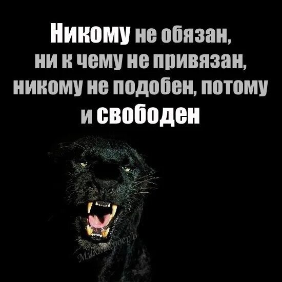 Бывший свободен 20. Никому не обязан ни к чему не привязан. Никому не обязан ни к чему не привязан никому не подобен потому. Никому не обязана цитаты. Статус никто никому не обязан.