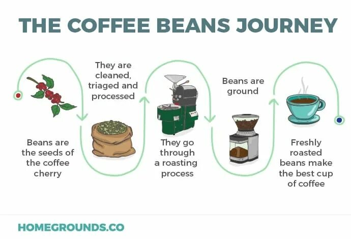 Make the cup use the. Coffee making process. how to make coffee. how coffee works. process pf making coffee.