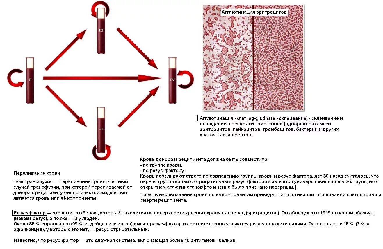 Сдача крови на резус фактор. Переливание резус отрицательной крови резус положительному. Переливание крови схема с резус фактором. Переливание крови по резус фактору схема. Отрицательный резус-фактор есть агглютинация.