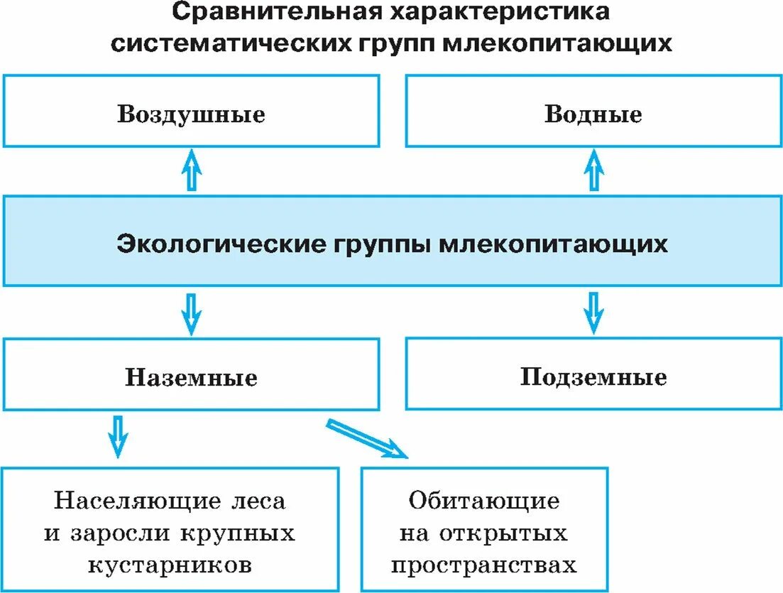 Экологические группы млекопитающих таблица. Экологические группы млекопитающих 7 класс биология. Таблица по биологии экологические группы млекопитающих. Экологические группы млекопитающих таблица 7.