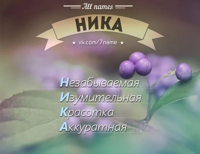 Кличка ники