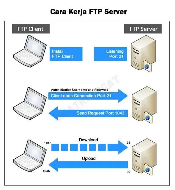 Типы ftp. FTP-серверах. Фтп сервер. FTP-сервер file transfer Protocol. FTP сервер структура.