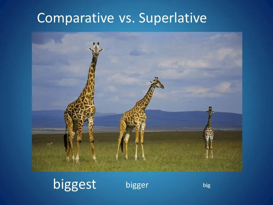 Big bigger the biggest. Big bigger Comparison. Huge Superlative. Bi bigger the biggest. Wordwall big bigger