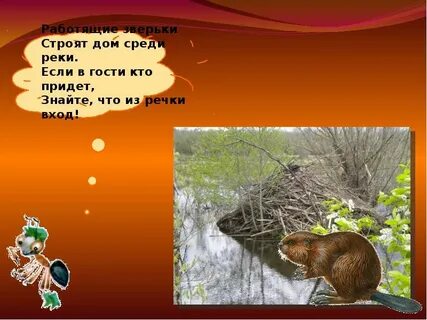 1 класс окружающий мир как живут животные