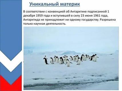 Верные утверждения об антарктиде