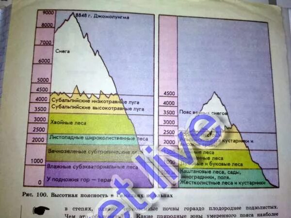 Высотные пояса от подножий к вершинам гор. Расставьте высотные пояса от подножий к вершинам гор.. Расставьте высотные пояса от подножия к вершине горы. Высотные пояса в горах сменяются от подножья к вершине. Площадь какого высотного пояса сокращается в хибинах