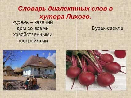 Бурак это диалектизм