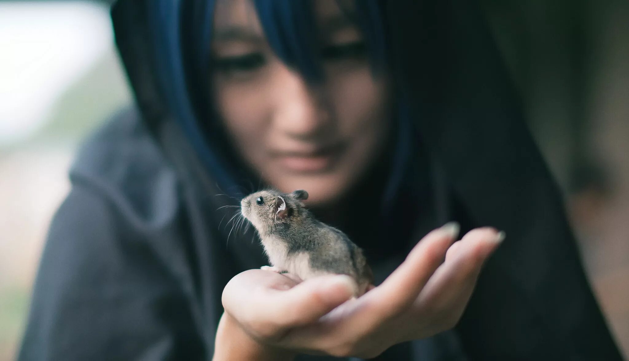 Аниме мышь назрин. Touhou project назрин. Женщина с мышью. Глотает. Девочка есть мышь.