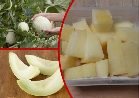 Дыня замороженная