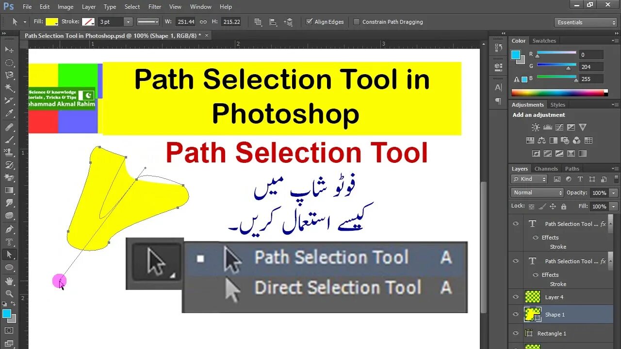 Component path. Direct selection Tool в фотошопе. Paths в фотошопе. Инструмент Path selection Tool в фотошопе. Type Tool в фотошопе.