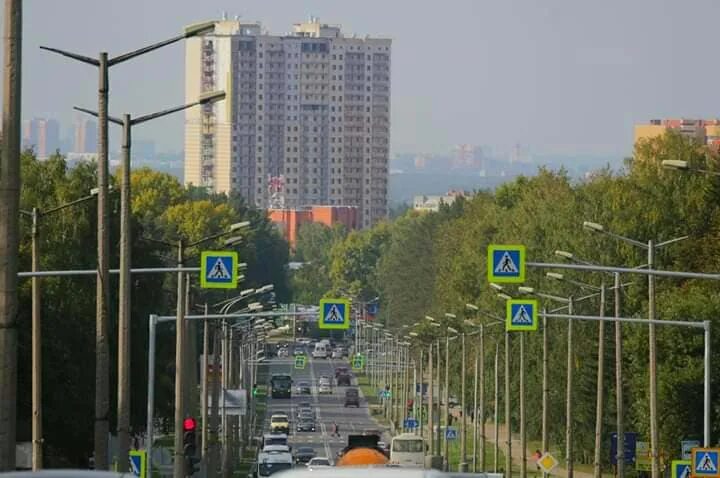 Сколько институтов в новосибирске на проспекте лаврентьева. Проспект Лаврентьева Академгородок. Проспект Лаврентьева Новосибирск. Новосибирский Академгородок проспект Лаврентьева. Проспект Академика Лаврентьева фото.