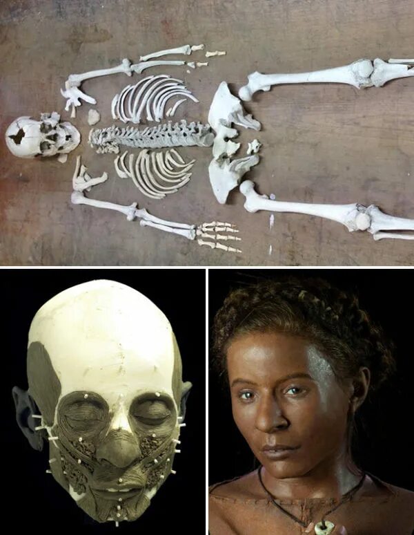 Восстановление физического облика древних людей. Воссоздание облика древнего человека по останкам. Как выглядели люди 1000 лет назад. Восстановление внешности по останкам.
