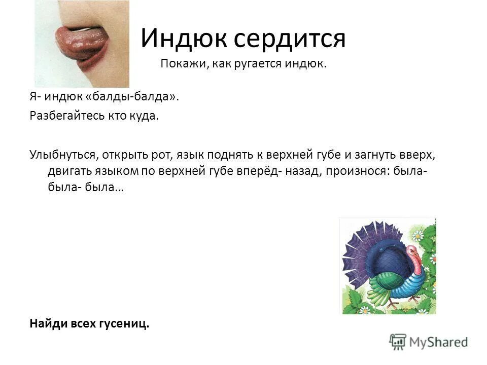 логопедическое упражнение индюк. артикуляционная гимнастика индюшата. логопедическое упражнение индюк болбочет. артикуляционная артикуляционная гимнастика индюк. упражнение индюк.