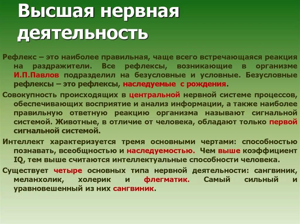 Высшая нервная деятельность. Высшая нервная деятельность процессы. Высшая нервная деятельность (ВНД). ВНД человека кратко. Рефлексы и речь