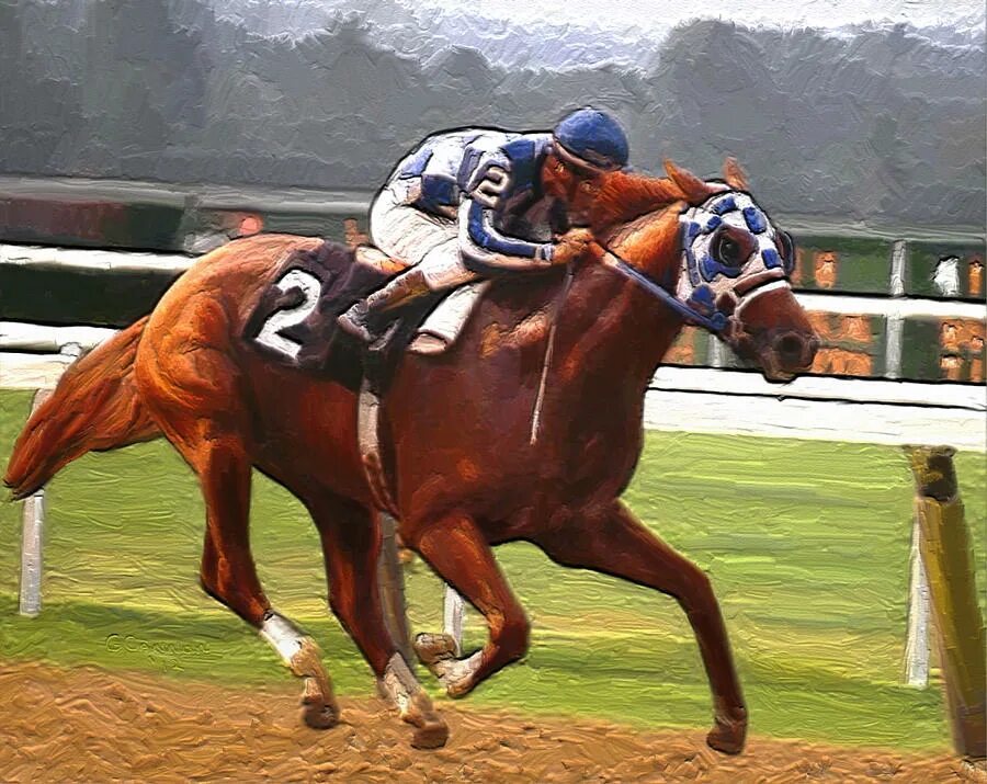 Английская чистокровная секретариат. Чистокровная верховая секретариат. Ронни теркотт. Чемпион (secretariat) 2010. Секретариат.