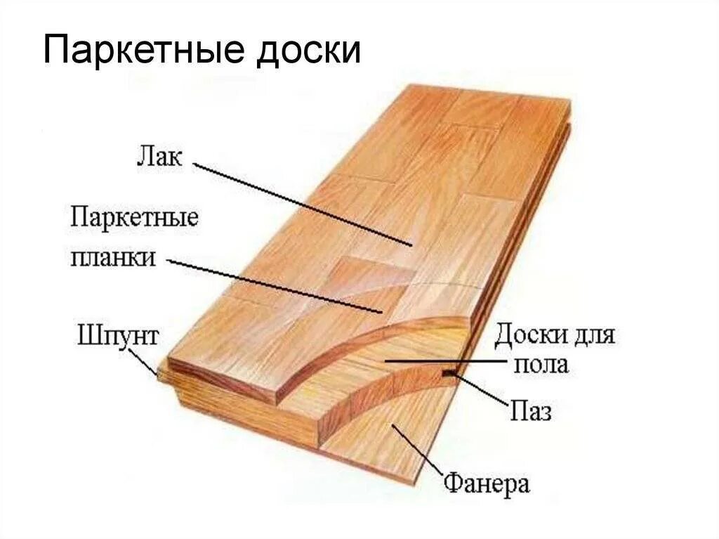 Паркетные планки. Паркетная доска. Паркет в разрезе. Паркетная или Инженерная доска. Паркетная доска размером 20 сантиметров