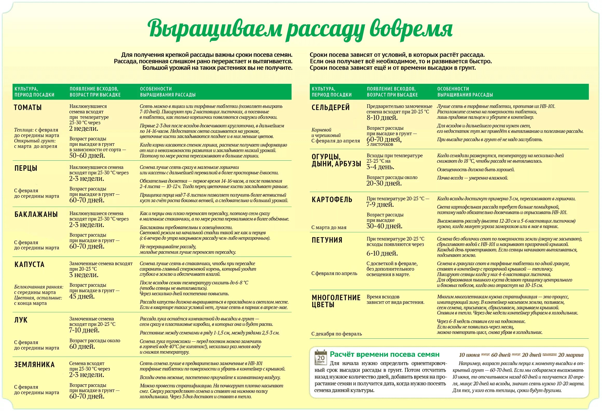 Срок посадки семян томатов. Сроки посадки овощных культур на рассаду. Когда какие семена сажать на рассаду. Сроки посева семян и высадки в открытый грунт рассады. Сроки высадки рассады овощей.