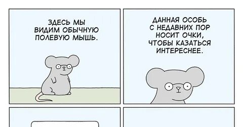 Мыши не дают спать