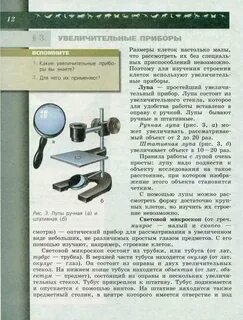 Строение штативной лупы