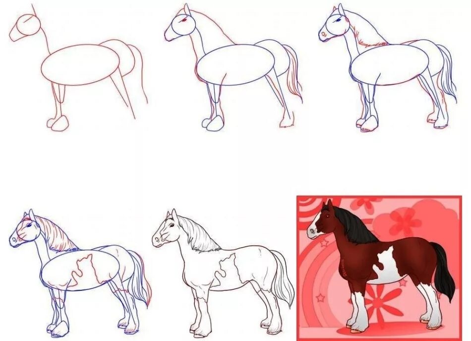 Как научиться рисовать лошадь. Пошаговое рисование лошади. Лошадь рисунок карандашом. Поэтапный рисунок лошади.