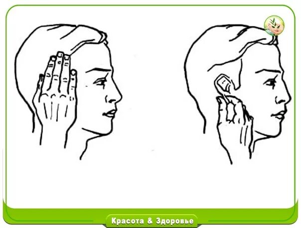 Самомассаж ушей. Самомассаж ушных раковин. Упражнение ладони на ушах. Упражнения для ушей. Упражнения для слуха.