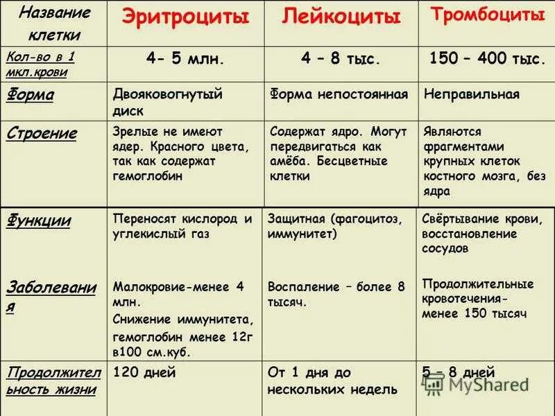 Лейкоциты в 1 мм3 крови. Эритроциты лейкоциты тромбоциты характеристика. Эритроциты лейкоциты тромбоциты таблица. Таблица эритроциты лейкоциты лейкоциты тромбоциты. Название эритроциты лейкоциты тромбоциты таблица.