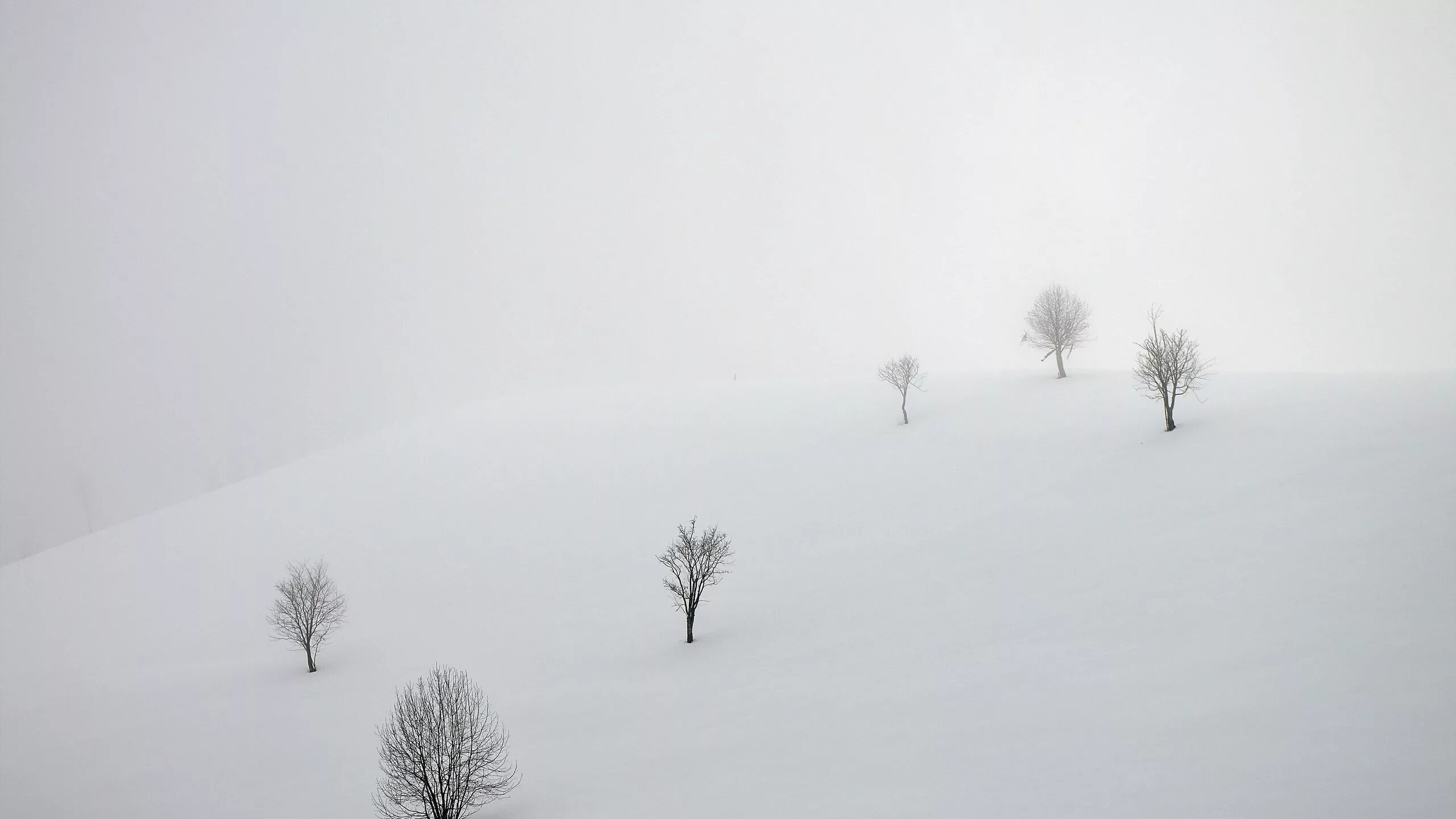 Сугроб туман. Поле зимой. Снежное поле. Туман в снегу. Зимнее белое поле.