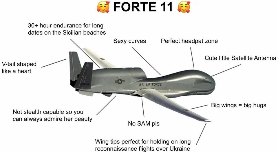 Forte11 Global Hawk. Us Air Force forte11. Forte беспилотник. Forte11 самолет США.