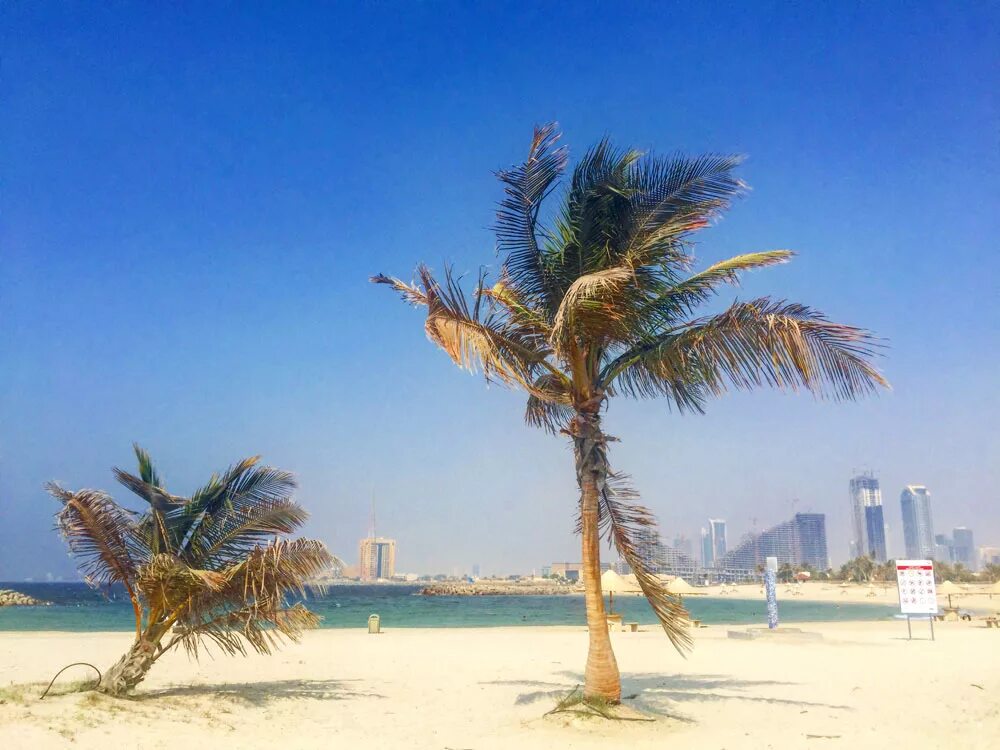 Парк аль мамзар. Пляж Аль Мамзар. Парк Аль Мамзар Шарджа. Мамзар Бич в Дубае. Пляж al Mamzar в Дубае.