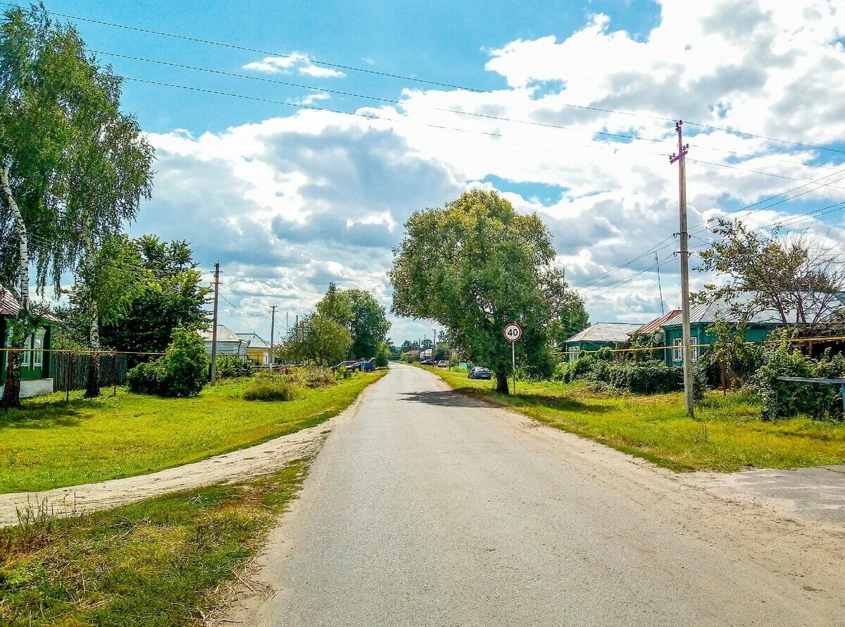 Погода село борки. Алкужинские Борки. Борки (Мендыкаринский район). Шацкий район село Борки. Черничено Старицкий район.