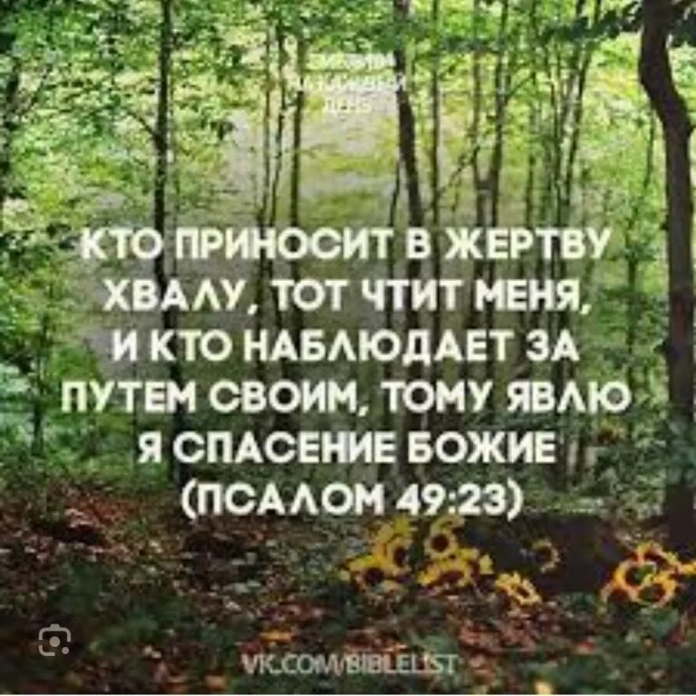 Кто приносит в жертву хвалу тот чтит меня. Жертва хвалы в Библии. Принеси в жертву Богу хвалу и воздай Всевышнему обеты твои. Псалом 49. Я спасусь от цветка испытаний 23 глава