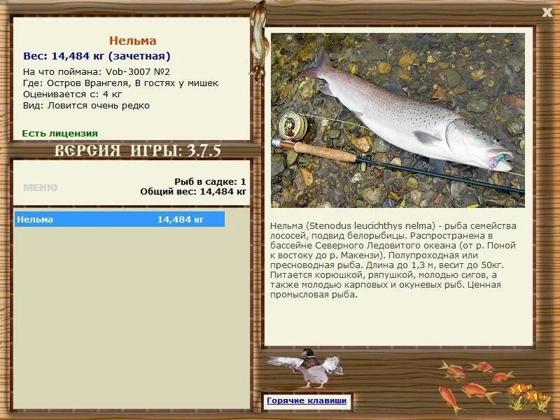 рус. род рыб 5 букв. караси - род рыб семейства карповых. серебряный карась. русская рыбалка 3 озеро карась серебряный квест.