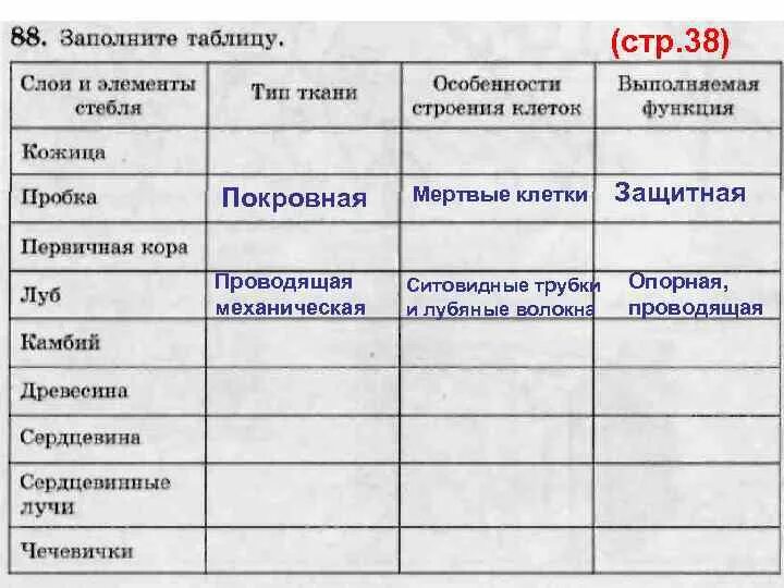 Заполните таблицу значение слоев стебли Заполните таблицу значение слоев стебли