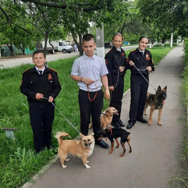 мини приют гелиос