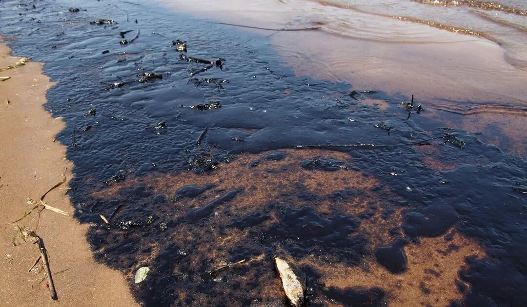 Прочитайте после реки разлива на осталась. Разлив нефти в Анапе 2021. Новороссийск пятно нефти. Южная Озереевка разлив нефти. Разлив нефти в Анапе.