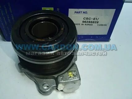 Csc7203