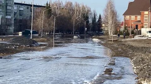 Южный бердск