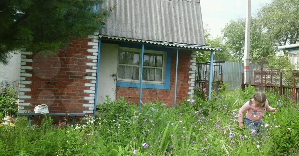 Зарайск садовое товарищество. Зарайск продать. Димитра благоева. Деревня перепелкино зарайского района. Зарайск ново пушкарская улица.